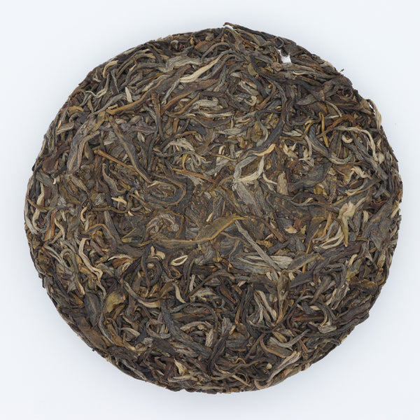 Phoenix NO.2 Raw Pu'er  from Phoenix Mountain Phoenix Village(2023)