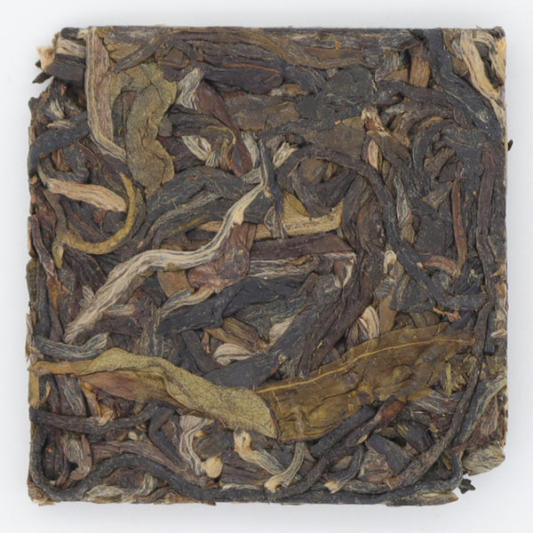 815 Wild High stem Raw Pu'er（2023）