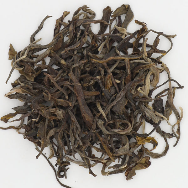 Yibang Great Black Forest High Stem Raw Pu'er (2023)