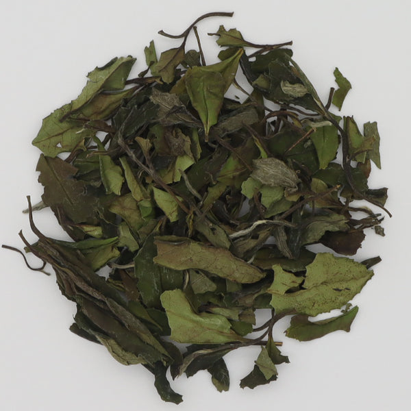 2023 New Shou Mei White Tea