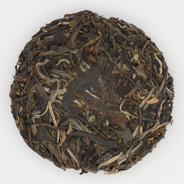 Xiao Huang Tian Aged Tree Raw Pu'er (2023)