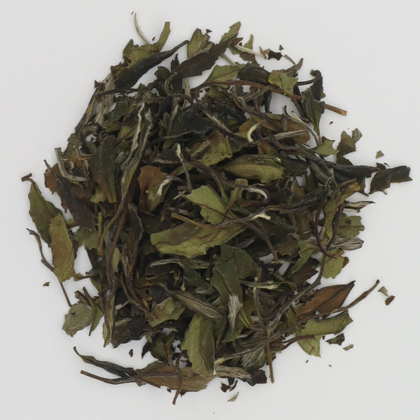 White Peony Loose Tea-White Tea