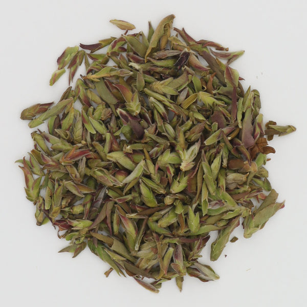 2024 Spring Harvest Wild Purple Bud(White Tea)