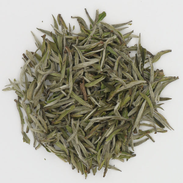 Silver Needle Loose White Tea