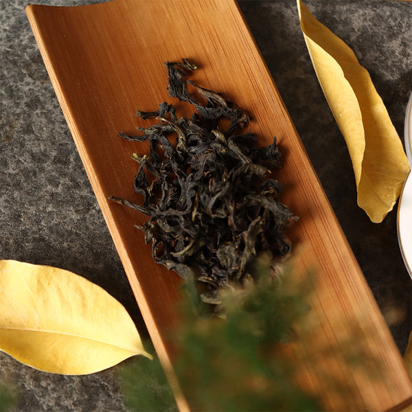 The First Leaf in the winter（Rock Tea/Oolong）