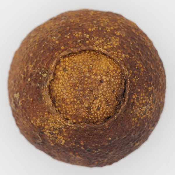 Red Citrus Ripe Pu'er Ball